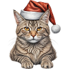 Chat de Noël mignon