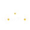 Drone Pilot