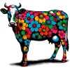 Vache