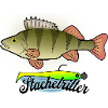 Stachelritter