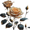 GoldRose