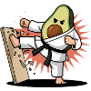 Avocat Karaté Maître Ceinture Noire