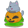 Chat Halloween Citrouille