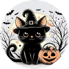 Witch Kitty halloween
