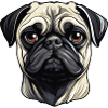 Dog Pug