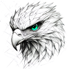Libre comme l’aigle