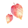 Herbst-Aquarell-Blätter Feuilles d’aquarelle d’automne