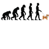 Shiba Inu