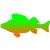 Barsch Silhouette