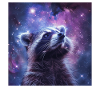Raccoon