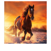 Pferd