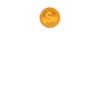 Old Coins New Adventures Numismatics