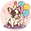 Français Buldog Chiens Anniversaire Bébé