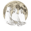 Sensenmann Der Tod Heulender Mond