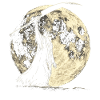 Sensenmann Der Tod Heulender Mond