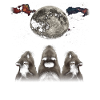 Guinea Pig Pet Howling Moon