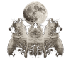 Himalayan Cat Howling Moon