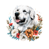Great Pyrenees dog