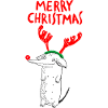 Merry Christmas Dog