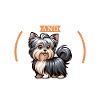 Coffee and Australian Silky Terrier