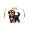 Café et Barbado da Terceira