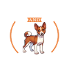 Café et Basenji