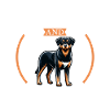 Café et Beauceron
