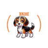 Café et busard beagle