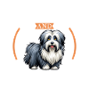 Coffee and Bearded Collie