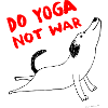 Do yoga not war dog