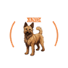 Coffee and Berger Picar