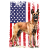 Belgian Malinois