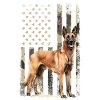 Belgian Malinois