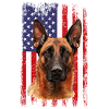 Belgian Malinois