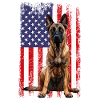 Belgian Malinois