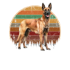 Belgian Malinois