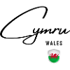 Flag of Wales, Welsh pride