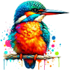Kingfisher