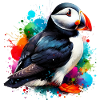 Puffin
