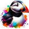 Puffin