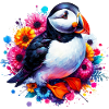 Puffin