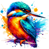 Kingfisher