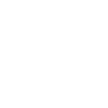 Inspektor als Beruf