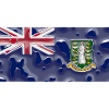 Gift for Virgin Islands