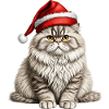 Christmas Persian cat