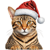 christmas bengal cat