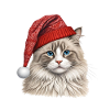Chat ragdoll de Noël