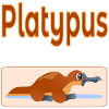 Platypus Australia