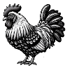 Intricate Rooster Illustration