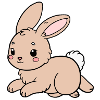 Rabbit Rabbit